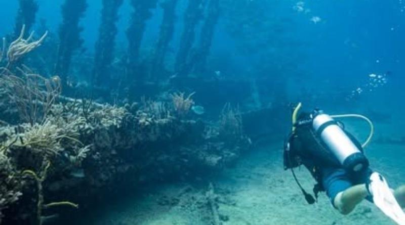 Open water referral dives