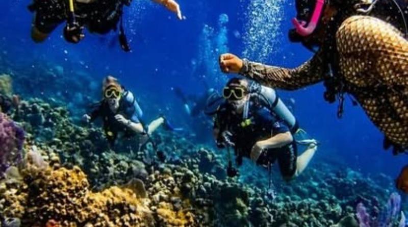 Best Diving Trips
