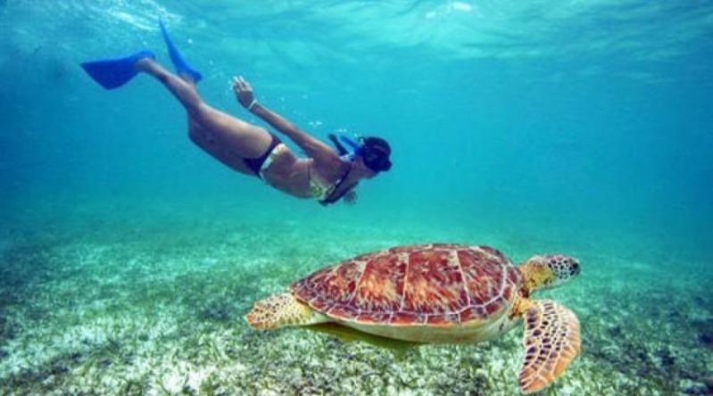 The Best beaches on St. John